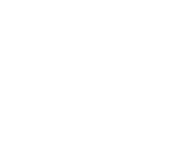 living Light book Logo